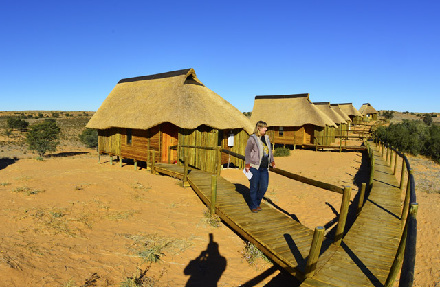 Wooden walkway to Rooiputs chalets