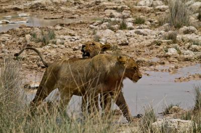 .....and brothers too