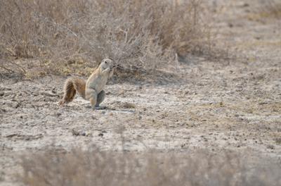 Nothing like a decent nap in the office