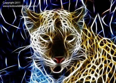 Psychedelic Leopard