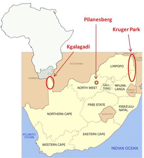 a geographical overview of kalahari desert Deep in the kalahari desert, a corpus lab protects a dangerous secret adventure, owned-physical-arcs wow now that was a thrilling read full. a geographical overview of kalahari desert Deep in the kalahari desert, a corpus lab protects a dangerous secret adventure, owned-physical-arcs wow now that was a thrilling read full.