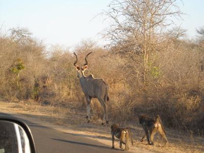 What don't you understand about single file?