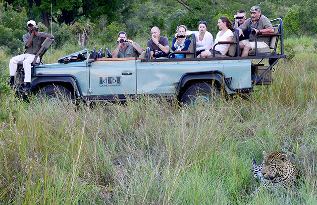 Idube Leopard sighting (note just 6 guests on the vehicle) Idube Leopard sighting (note just 6 guests on the vehicle)