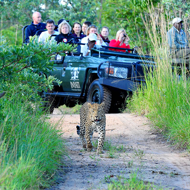 9 guests on vehicle 9 guests on vehicle