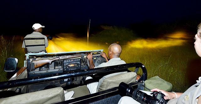 Idube night drive Idube night drive