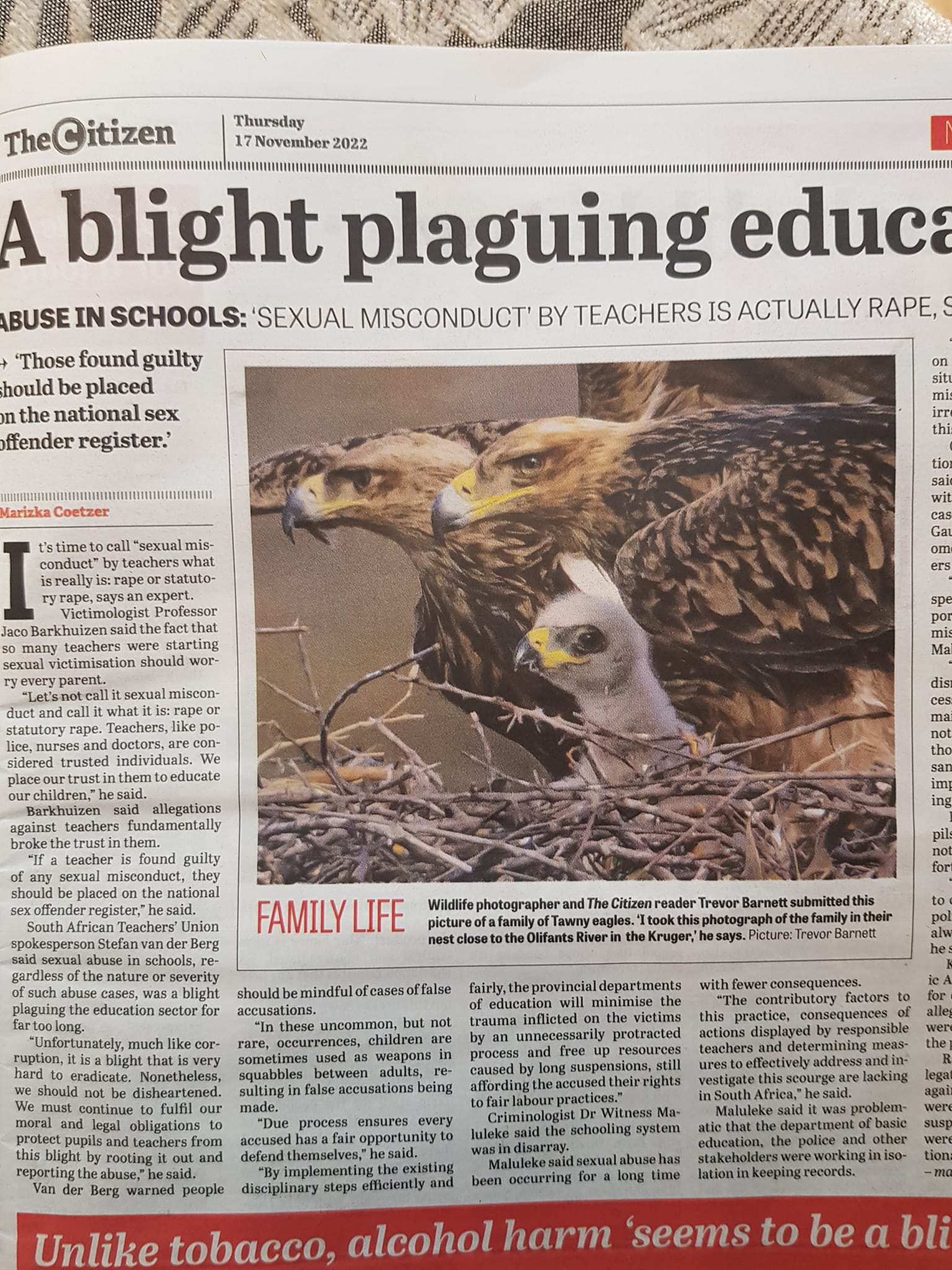 tawny eagle family - Citizen newspaper