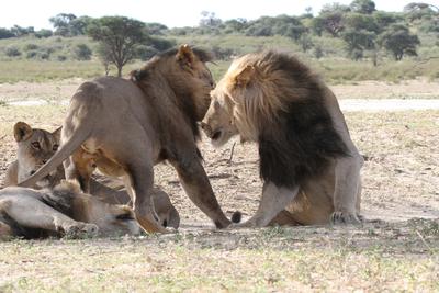 Young male getting a little agressive