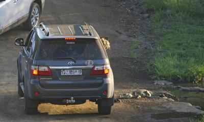 Croc and terrapins coming out water to cars