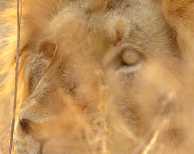 These two would be better as an appetizer!