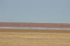 A mirage on Koppieskraal pan.