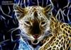 Psychedelic Leopard