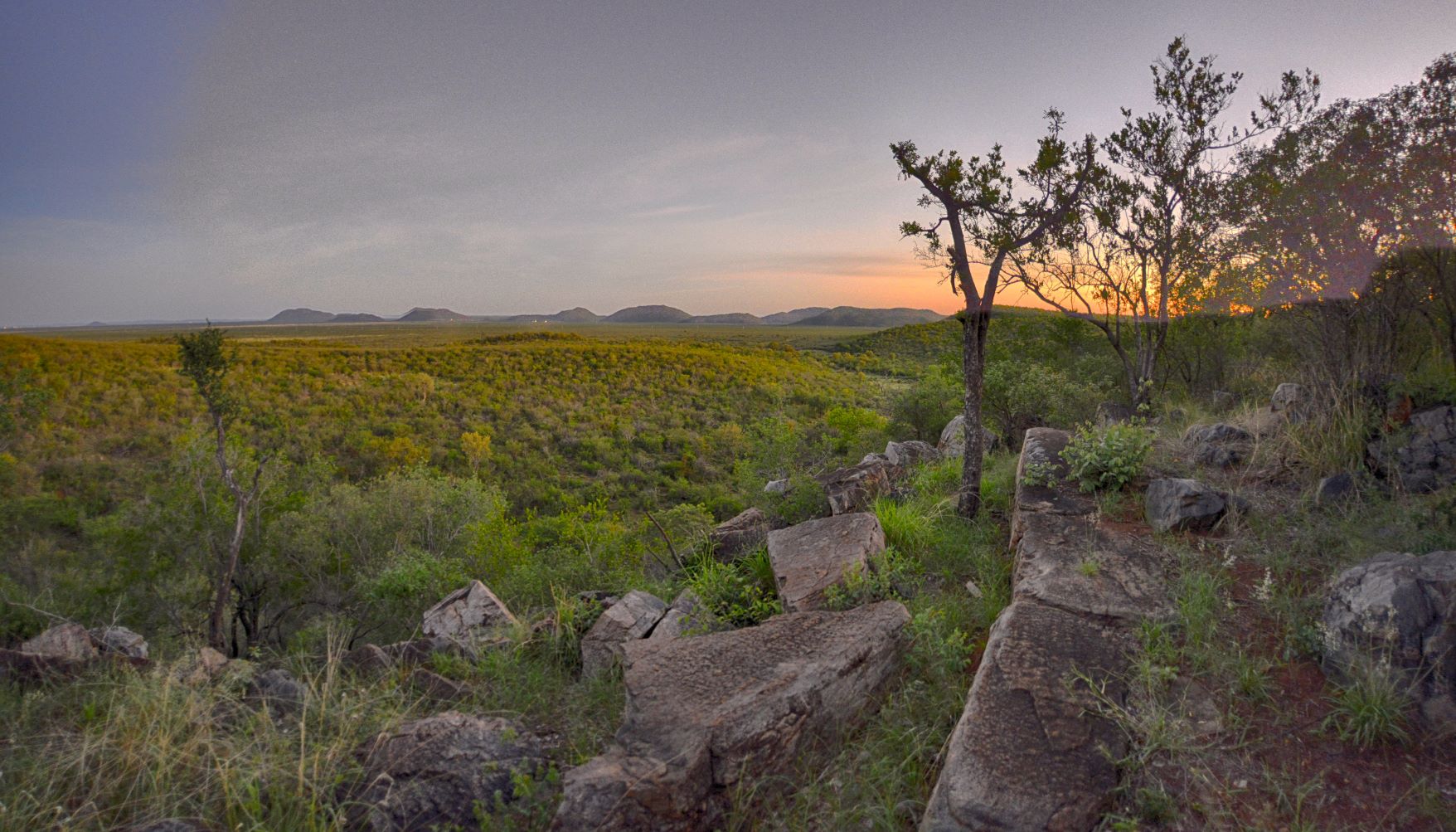 The view from our chalet at Buffalo Ridge Lodge