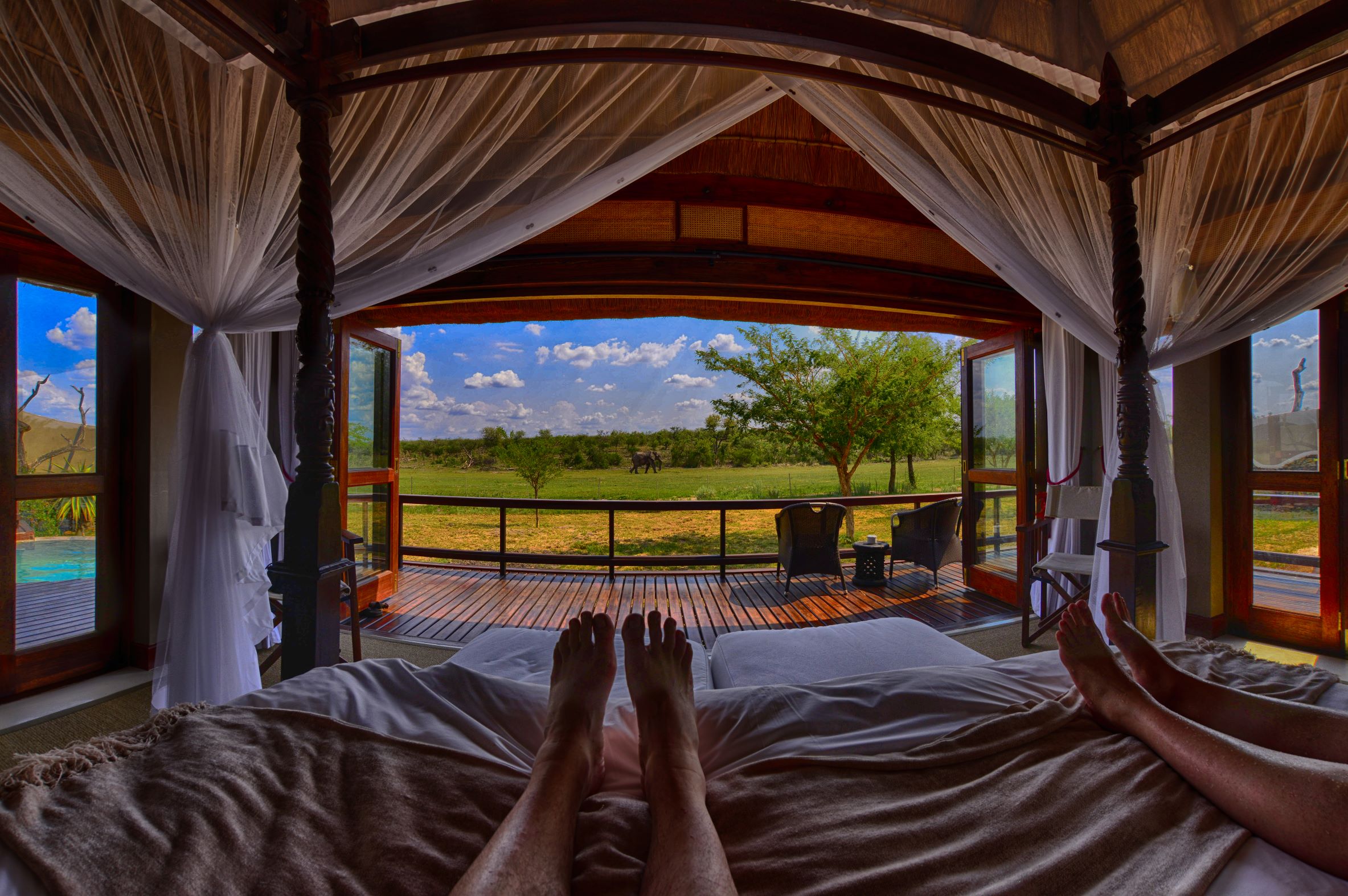 the view from our bed at Jamala Madikwe the view from our bed at Jamala Madikwe