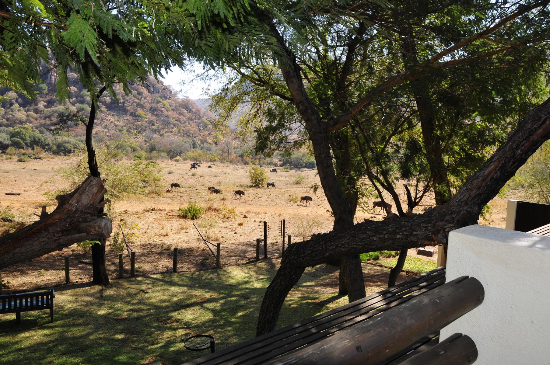 View from our room veranda