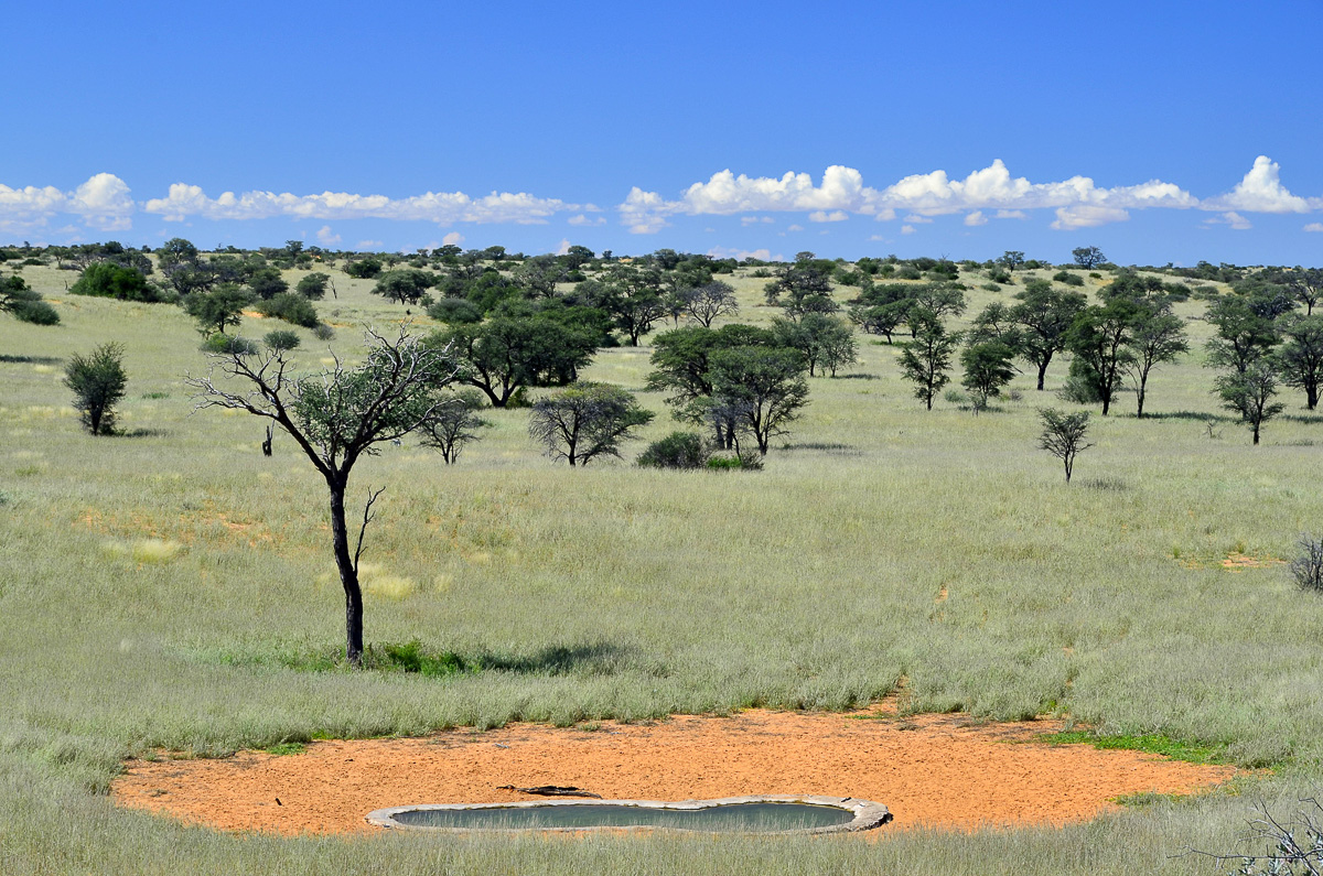 waterole at Garagab Wilderness Camp