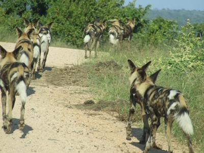 Taking the road again.