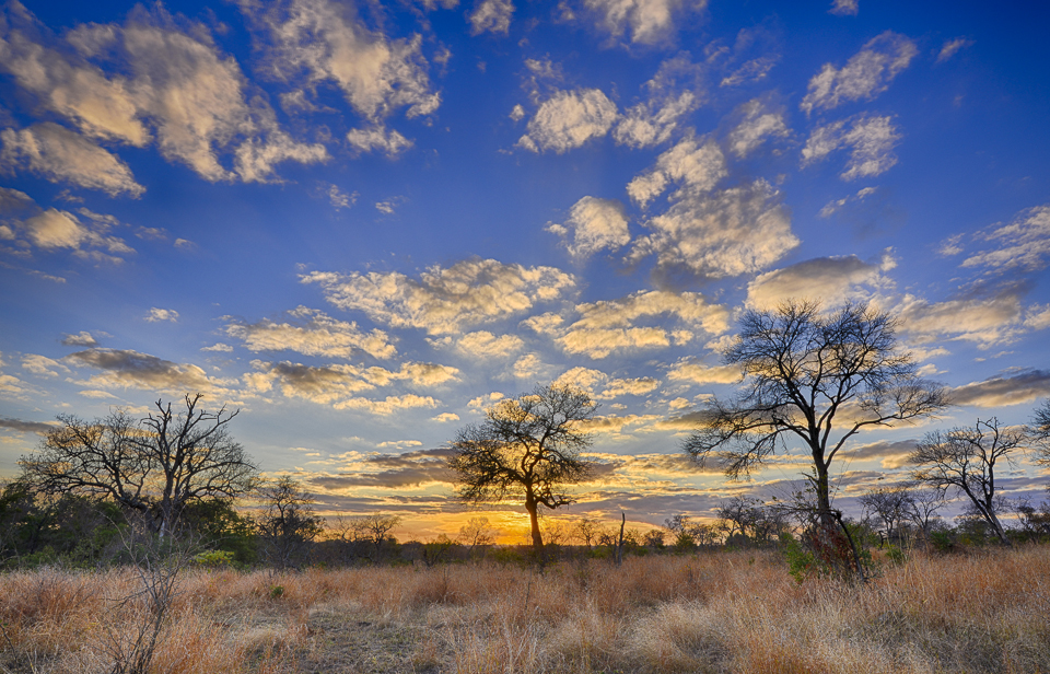 HDR Nature Photography use these tools to get some HDR Nature Photography use these tools to get some