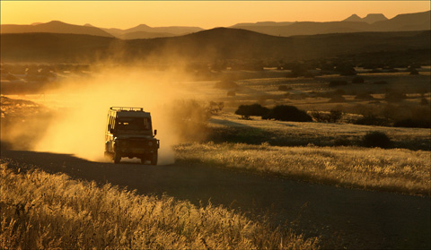 your safari guided game drive