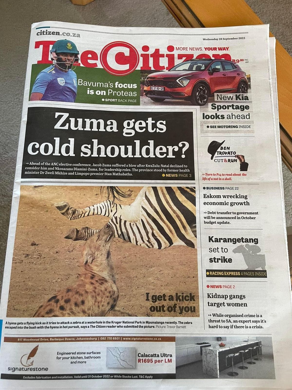 zebra kicking spotted hyena - Citizen newspaper